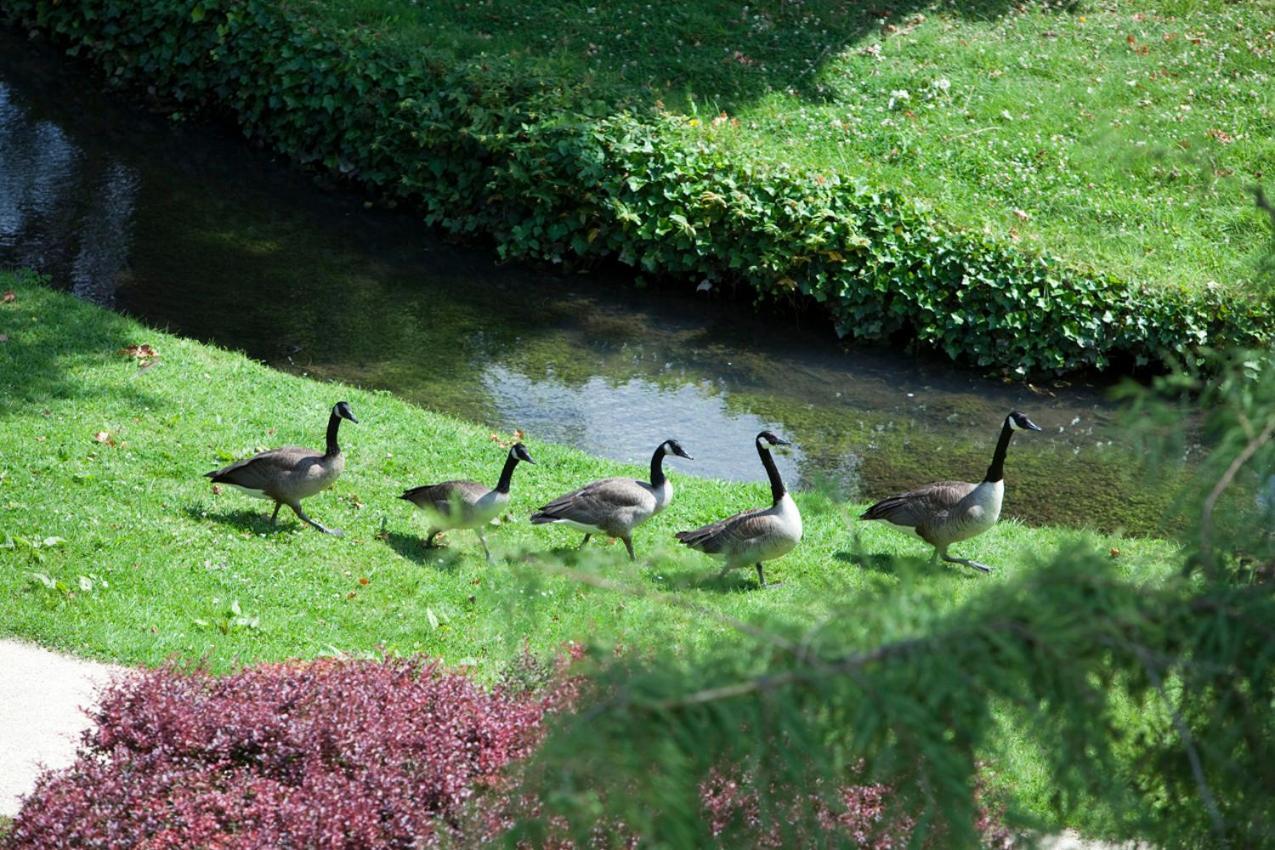 ホテル Domaine De Saint-Paul エクステリア 写真